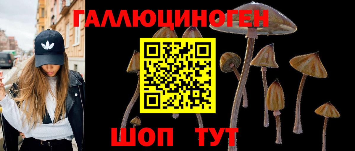 Галлюциногенные грибы GOLDEN TEACHER Кимовск