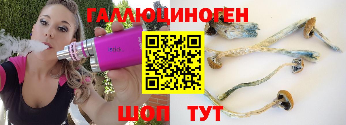 Галлюциногенные грибы Magic Shrooms  Галлюциногенные грибы Cubensis  Вход с VPN  Кимовск 